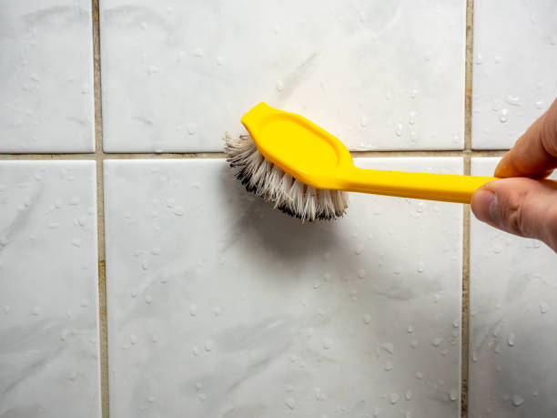 Best Home Mold Removal  in Spinnerstown, PA