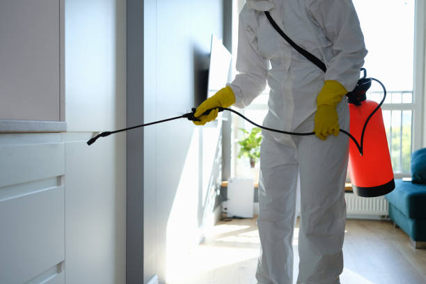 Best Office Mold Removal Services  in Spinnerstown, PA