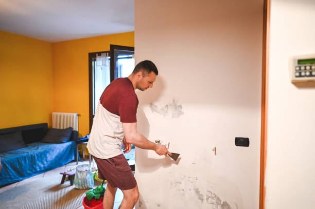 Best Home Mold Removal  in Spinnerstown, PA
